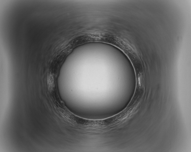 X0000115601347200911171120