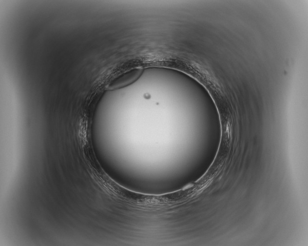 X0000115601348200911171120