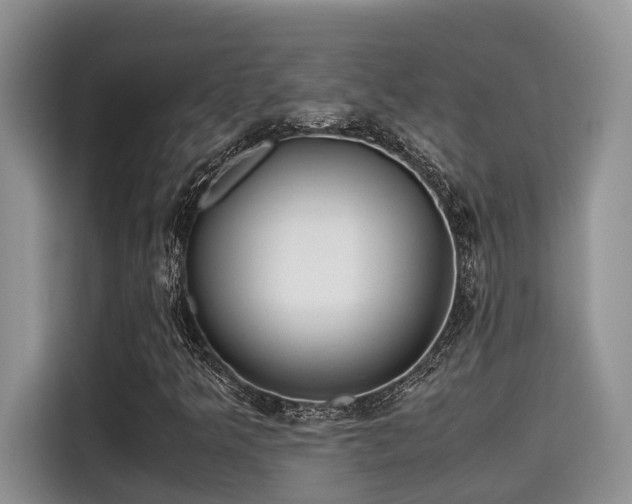 X0000115601349200911171120