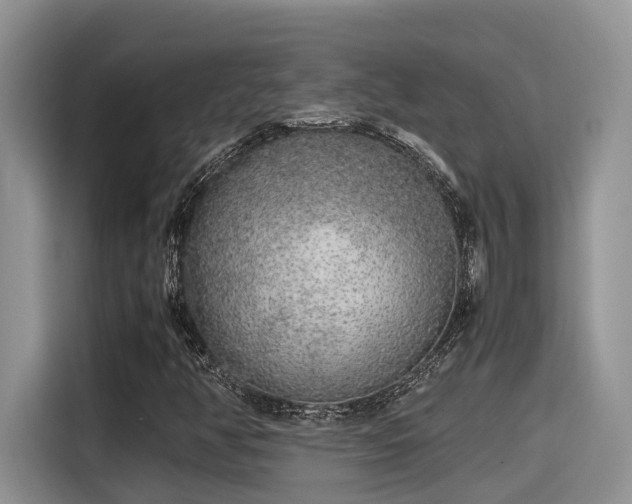 X0000115601350200911171120