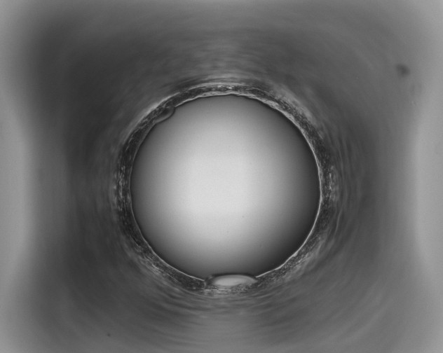 X0000115601352200911171120