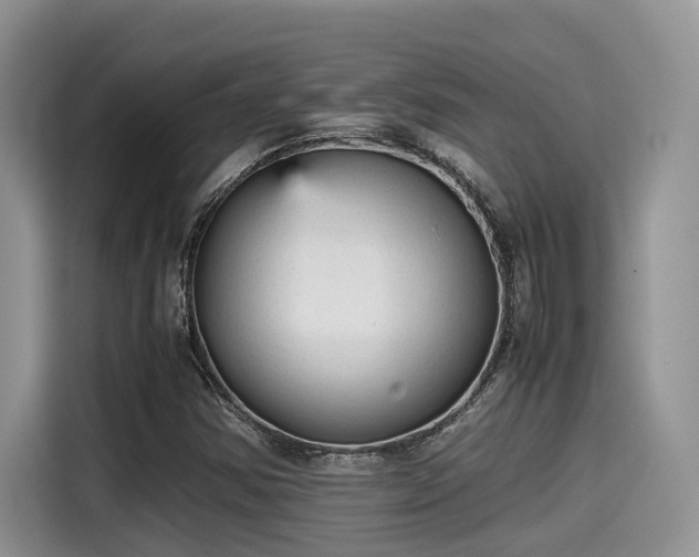 X0000115601354200911171120