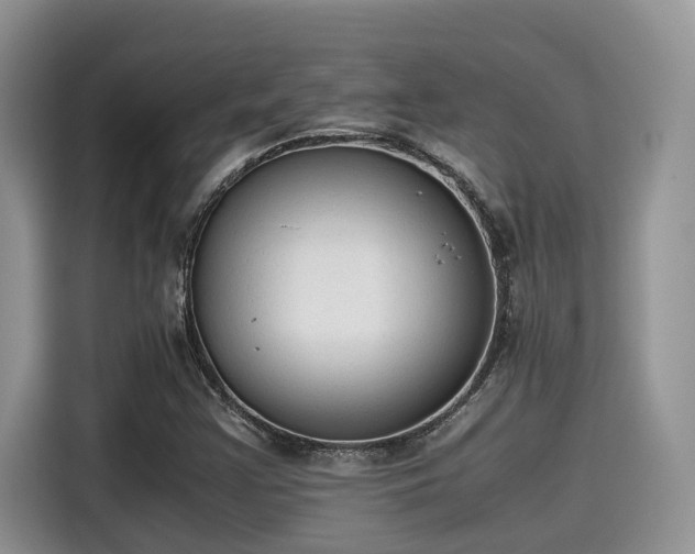 X0000115601355200911171120