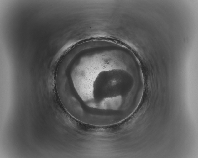 X0000115601359200911171120