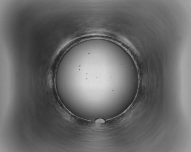 X0000115601360200911171120