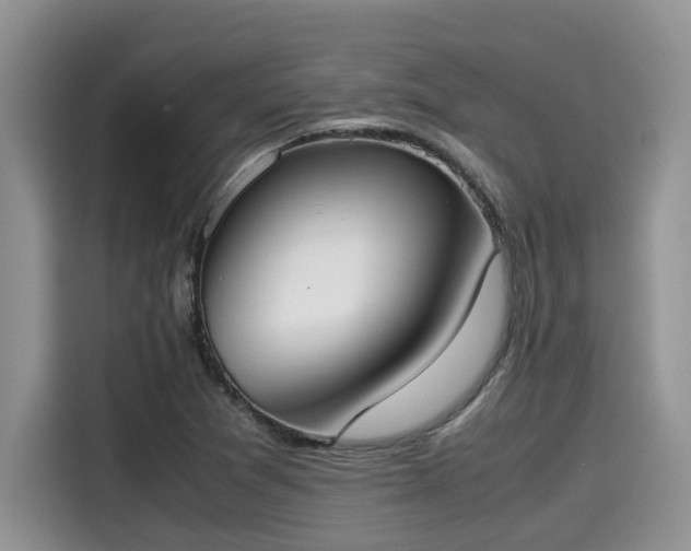 X0000115601361200911171120