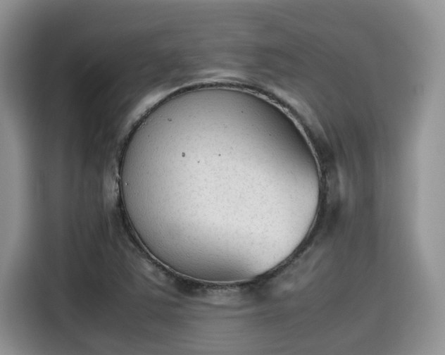 X0000115601363200911171120