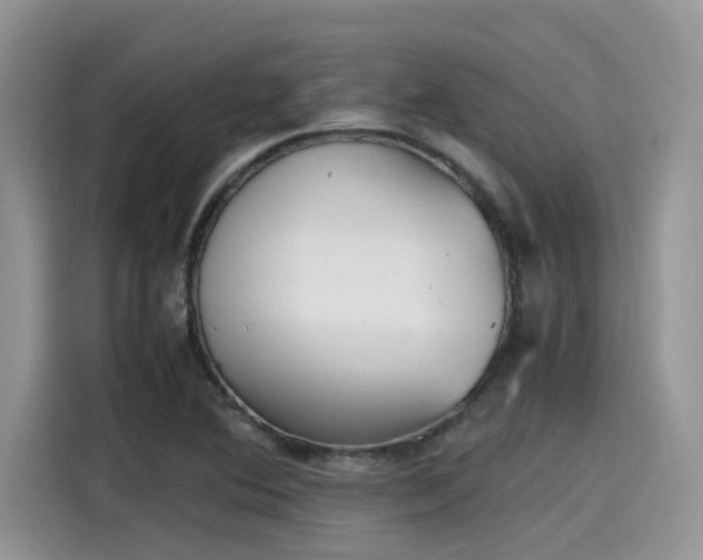 X0000115601364200911171120