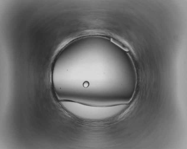 X0000115601365200911171120