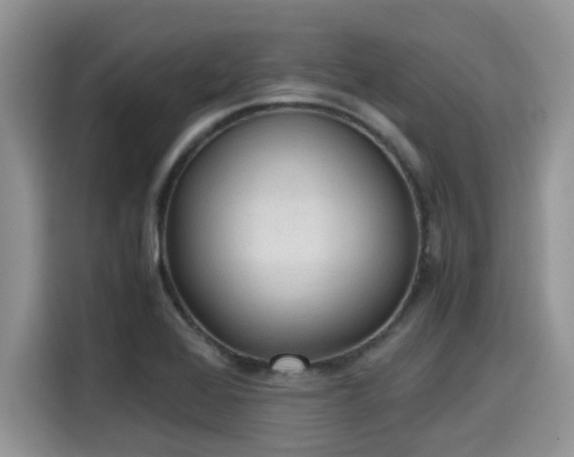 X0000115601368200911171120