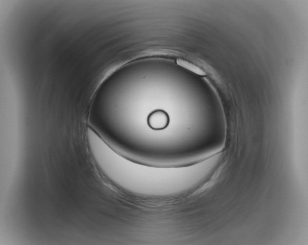 X0000115601369200911171120