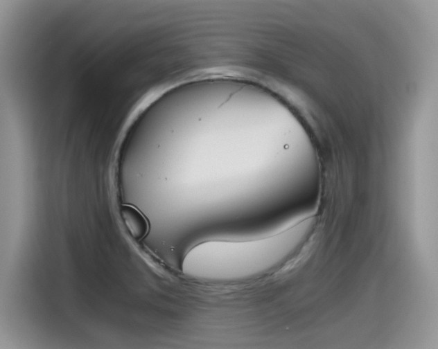 X0000115601373200911171120