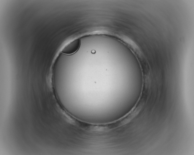 X0000115601374200911171119