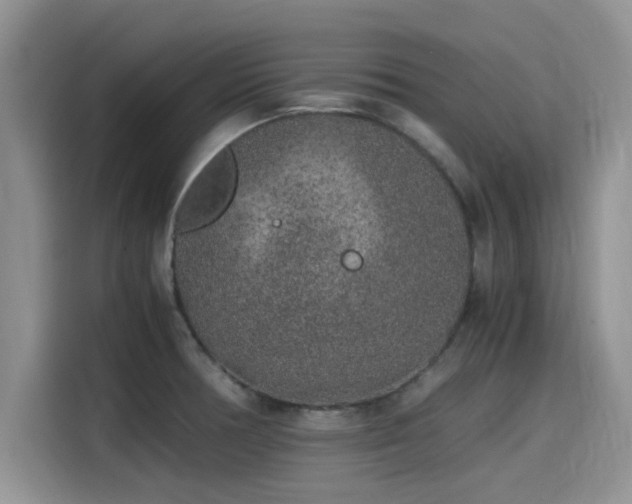 X0000115601378200911171119