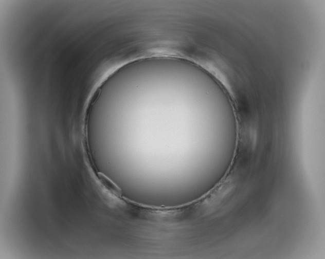 X0000115601381200911171119