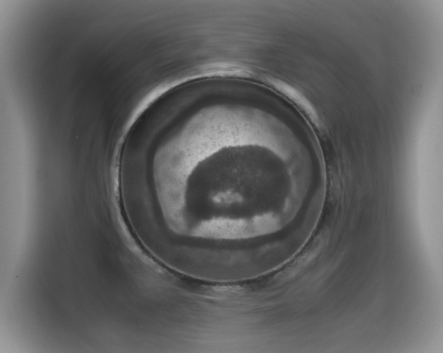 X0000115601383200911171119