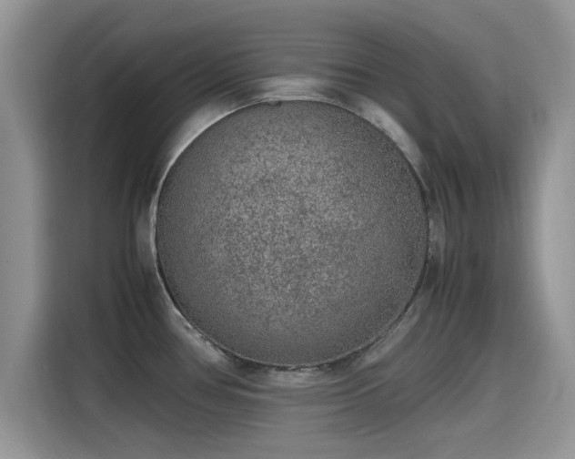 X0000115601386200911171119