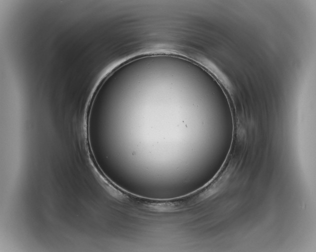 X0000115601388200911171119