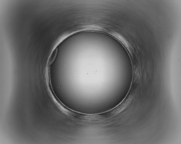 X0000115601391200911171119