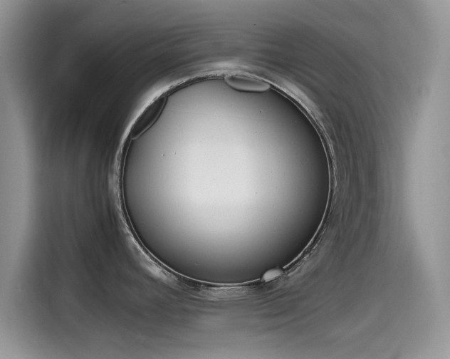 X0000115601392200911171119