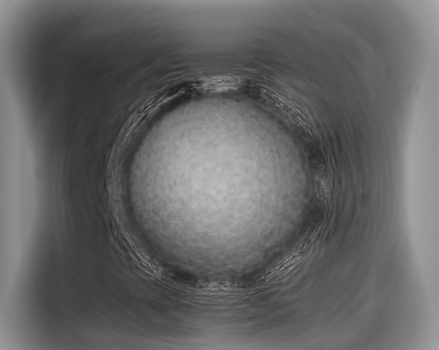 X0000115601393200911171119