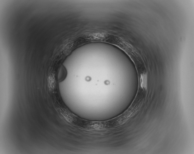 X0000115601395200911171119