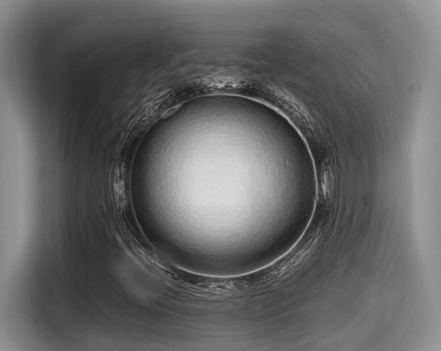 X0000115601396200911171119