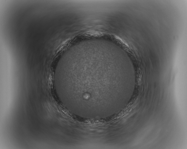 X0000115601397200911171119