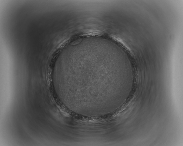 X0000115601399200911171119