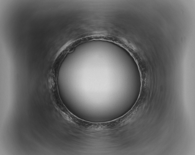 X0000115601400200911171119