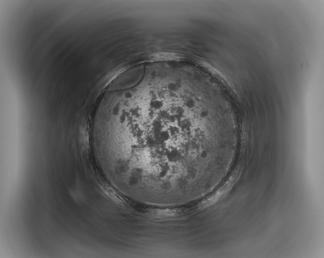 X0000115601401200911171119