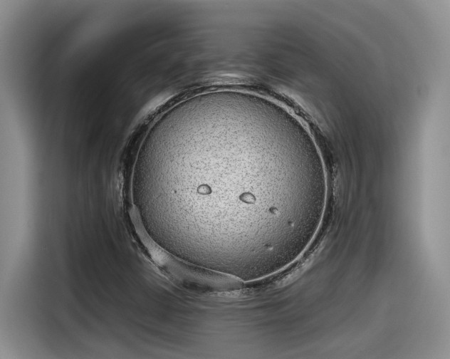 X0000115601402200911171119