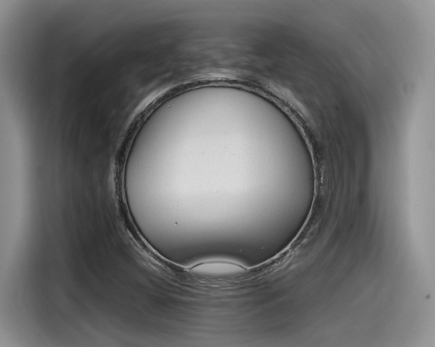 X0000115601404200911171119