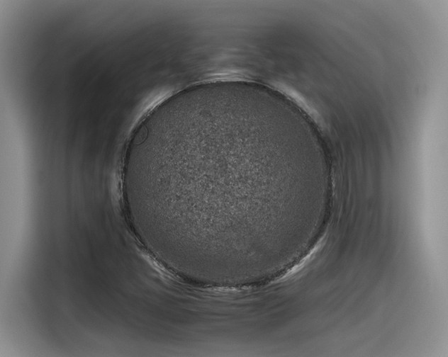 X0000115601405200911171119