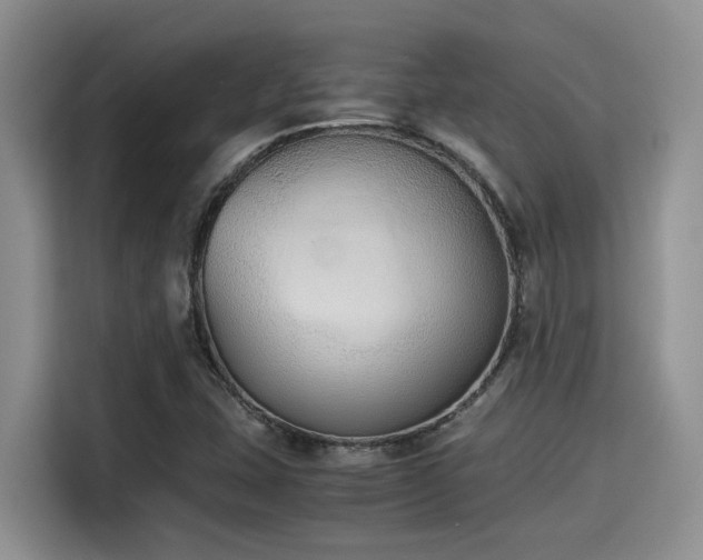 X0000115601407200911171119