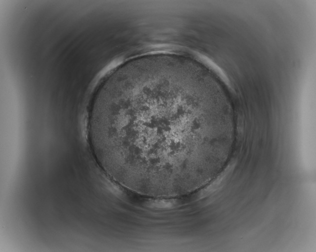 X0000115601411200911171119