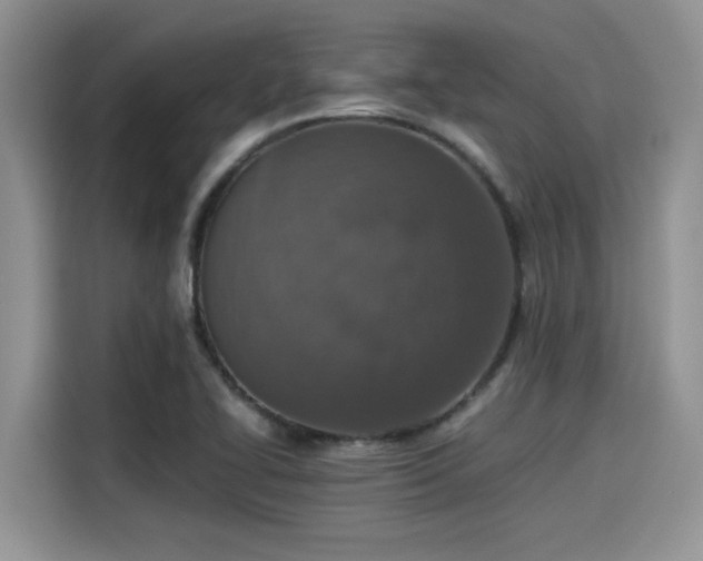 X0000115601414200911171119