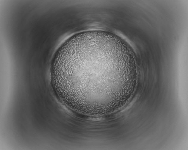 X0000115601415200911171119