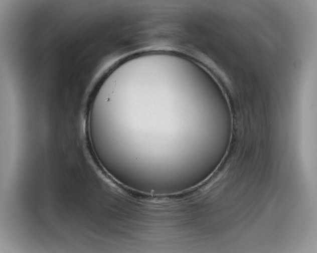 X0000115601416200911171119