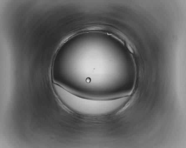 X0000115601417200911171119