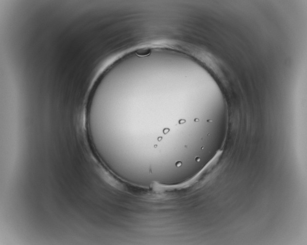 X0000115601420200911171119