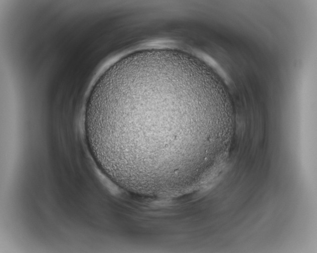 X0000115601421200911171119