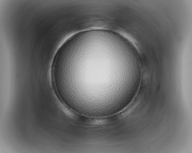 X0000115601423200911171119