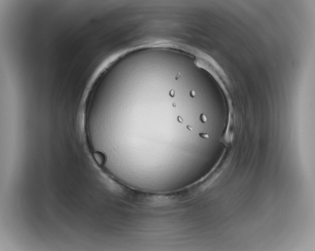 X0000115601424200911171119