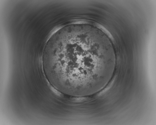 X0000115601425200911171119