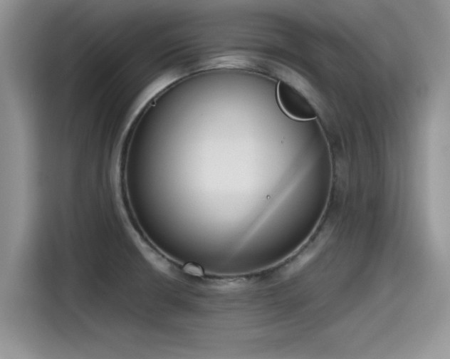 X0000115601426200911171119