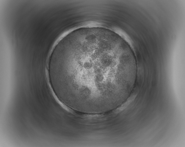 X0000115601429200911171119