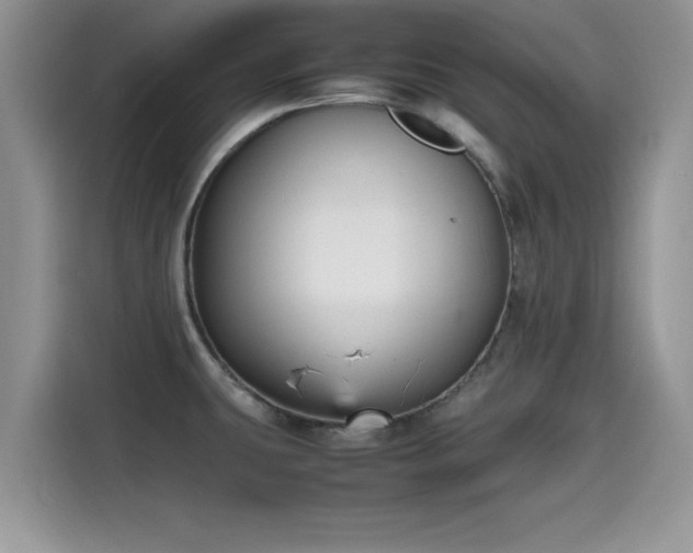 X0000115601431200911171119