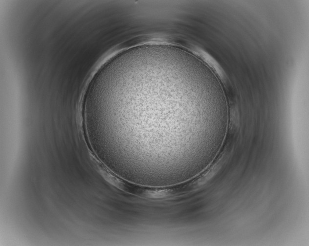 X0000115601435200911171119