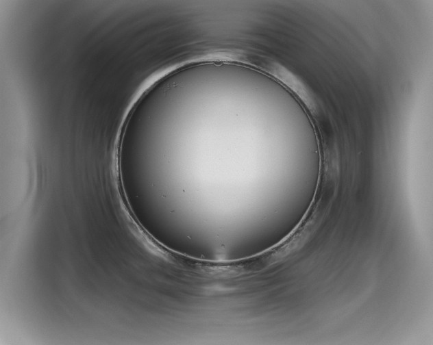 X0000115601436200911171119